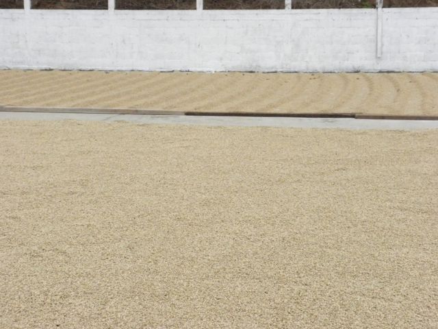 Proper identification of partidas in the patio and warehouse in the farm.