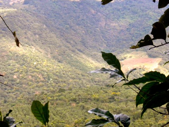 Segmentation of the production of the farm is vital for direct trade.