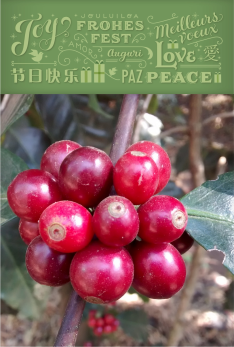 Tarjeta 14_01_2015 2